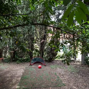 Vatican Quiet With Garden & Parking , Rom Italien